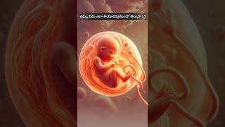 Amniotic Fluid ఉమ్మ నీరు fetal urine maternal plasma [upl. by Moriyama]