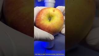 Microscope ഇൽ Apple വെച്ചപ്പോൾ🤢🍎microscope apple [upl. by Cynarra]