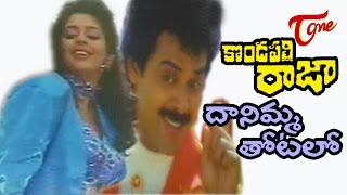 Kondapalli Raja Movie Songs  Daanimma Thotalo Video Song  Venkatesh Nagma [upl. by Hime23]