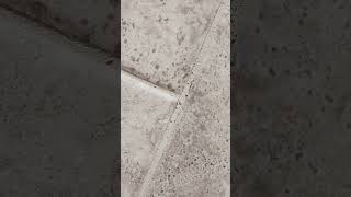 Are Hairline Cracks in Grout Normal [upl. by Trilbee]