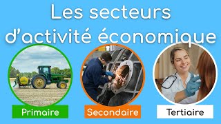 Les secteurs dactivité économique [upl. by Frodeen509]