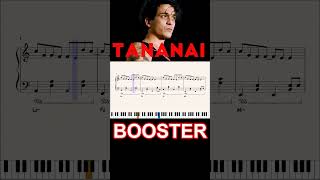 BOOSTER  TANANAI  ritornello al pianoforte ritornellipop shorts [upl. by Chere297]