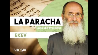 La Paracha Ekev avec le Rav Oury Cherki [upl. by Alat809]