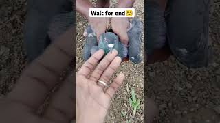 Safe from dog yt shorts viral video pigeon motivation [upl. by Htenay]