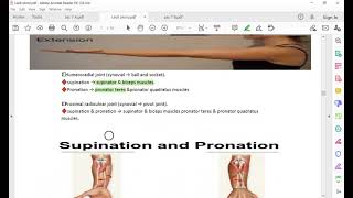 lec9 part1 elbow joint and cubital anastomosis [upl. by Ynohta]