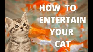 Goldfish Video For Cats  This is How To Entertain Your Cat [upl. by Etteniotnna876]