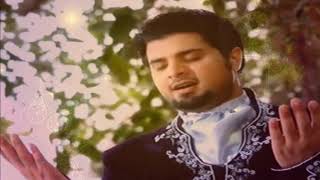 Mohabbat hai Ramzan by Nabeel Shaukat Lyrical Video [upl. by Zerat]