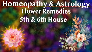 Research Astrology amp Homeopathy Flower Remedy 5th amp 6th House [upl. by Morten176]