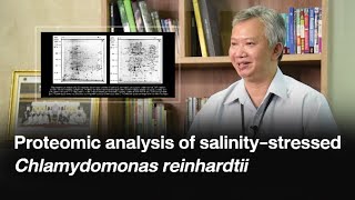 Proteomic analysis of salinitystressed Chlamydomonas reinhardtii [upl. by Odnalor]