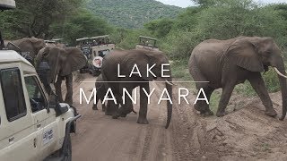 Lake Manyara National Park [upl. by Euqinor]