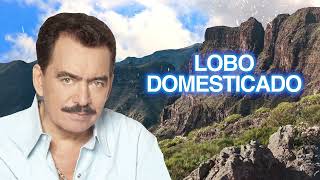 Joan Sebastian – Lobo Domesticado Letra Oficial [upl. by Feodore]