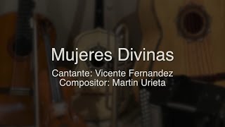 Mujeres Divinas  Vicente Fernandez  Puro Mariachi Karaoke [upl. by Hamann]