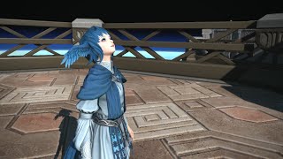 Final Fantasy XIV Endwalker  Meteion concludes her report [upl. by Graybill655]