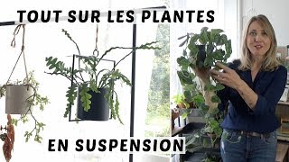 🌿 PLANTES EN SUSPENSION  COMMENT LES ACCROCHER COMMENT ARROSER QUELLES PLANTES POUR SUSPENDRE [upl. by Todd78]