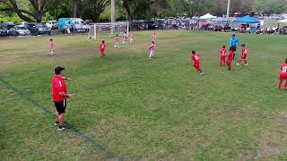 U8 Dynamo Red vs FL Prem 32424 215 Final Half 1 [upl. by Willumsen]