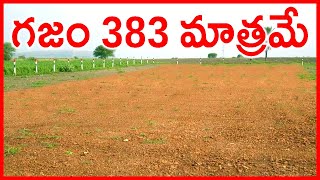 గజం 383 మాత్రమే Sq Yard Only 383 Rupees 9550358578 Half Acre Only 925 Lakhs Offer Near Narayankhed [upl. by Mosa]