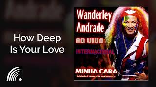 Wanderley Andrade  How Deep Is Your Love  Ao Vivo Internacional [upl. by Macdonald]