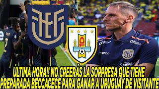 ÚLTIMA HORA NO CREERÁS LA SORPRESA QUE TIENE PREPARADA BECCACECE PARA GANAR A URUGUAY DE VISITANTE [upl. by Bumgardner]