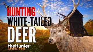 White Tailed Deer Hunt in The Hunter Call of the Wild MineGaming92 [upl. by Azil]