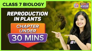 Reproduction in Plants  Chapter Summary under 30 mins  Class 7 Science [upl. by Yettie]