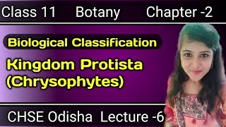 Kingdom protista Class 11 Botany Biological Classification CHSE Odisha Lecture 6 [upl. by Wobniar]