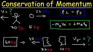 Conservation of Momentum Physics Problems  Basic Introduction [upl. by Orlanta]