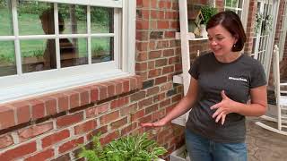 Creating a Shade Container  Gardening with Creekside [upl. by Naujaj]