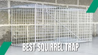 Best Squirrel Trap  Researched by Expert [upl. by Meehar]