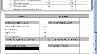 048 Elaboration du compte de résultat Application 1 [upl. by Irim]