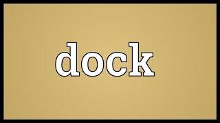 Dock Meaning [upl. by Aemat]