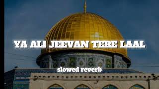 YA ALI JEEVAN TERE LAAL FULL QASIDA HASSAN SADIQ SLOWED REVEEB trending qaseeda slowedandreverb [upl. by Murtha910]