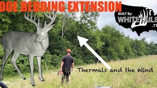 Whitetail Doe Bedding Extended by Edge Feathering and Reclaiming Built By Whitetails TV Segment [upl. by Noevad]