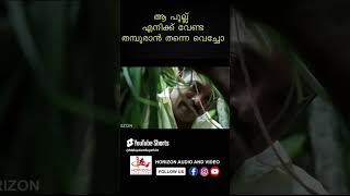 ഒളിഞ്ഞുനോക്കിയാൽ ഈ വൃത്തികേട് പലതും കാണുംyoutubeshorts malayalamshortscomedyshorts [upl. by Mendes930]