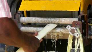 banana fibre extraction [upl. by Benkley295]