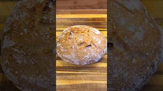 Worlds Easiest GlutenFree Bread  Part 2 [upl. by Anitsyrk]