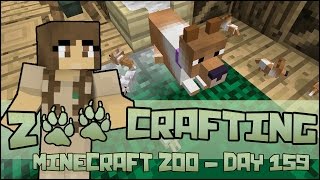 So Many Newborn Puppies 🐘 Zoo Crafting Season 2  Episode 159 [upl. by Siduhey]