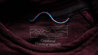 The New Patagonia Capilene Thermal Weight Hoody [upl. by Chickie743]