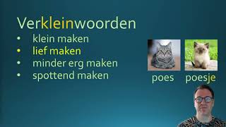 Verkleinwoorden ‐ learndutch nederlandsleren nt2 [upl. by Beatrix]