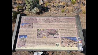 Lagomarsino Petroglyphs [upl. by Avehs]