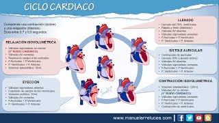 CICLO CARDIACO [upl. by Piks]