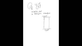 Embryology of kidney and its development related disorders First aid step1 Lecture 1st [upl. by Lymn]