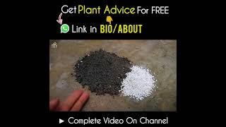 Effective Ways to Use Perlite For Plants [upl. by Baumbaugh]