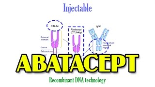 ABATACEPT Simplified  Pharmacology [upl. by Worra]