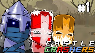 An Underrated CLASSIC Castle Crashers 1 [upl. by Kristyn]