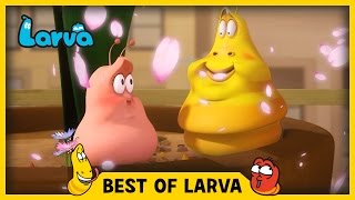 LARVA  BEST OF LARVA  Cartoons  Comics  LARVA 2017 WEEK 14 [upl. by Alvarez]