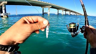 Florida Keys Bridge Jigging  Fishing Metal Jigs  Bucktails [upl. by Kcirted]