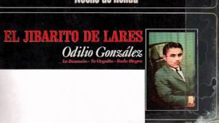 Odilio Gonzalez quotTu Orgulloquot [upl. by Ahsinroc]