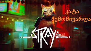 stray 3 კატა შემომივარდა [upl. by Ahsilrac]