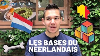 Apprendre le néerlandais  cours de néerlandais facile partie 1 les bases fondamentales [upl. by Hadias796]