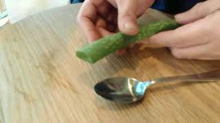 How to harvest Aloe Vera gel [upl. by Rhona]